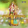 About Syam Ki Diwani Song